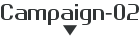 Campaign-02